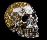 Skull Coffee Opal